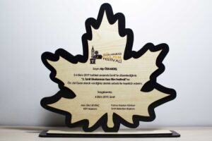 2. İzmit Uluslararası Kısa Film Festivali Plaket
